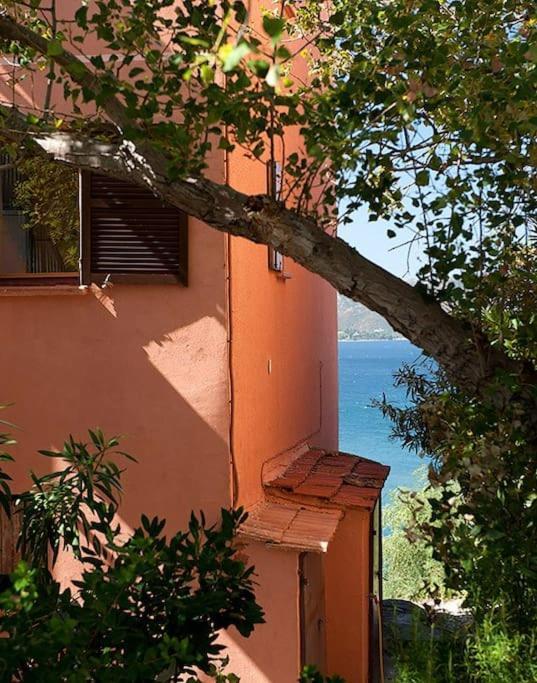 Apartment Casa Marine Du Soleil 60 Patrimonio